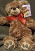 [USED] Cute Teddy Bear Plush Toy