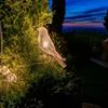 Solar Outdoor Waterproof Bird Light String Courtyards Villa Decorative Light for Balcony Wedding Decoration