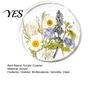 Decorative Acrylic Coasters Floral Print Coaster, Non-Slip Surface Heat Resistant Protection Cup Pad, Modern Kitchen Table Decor Transparent Round Mat