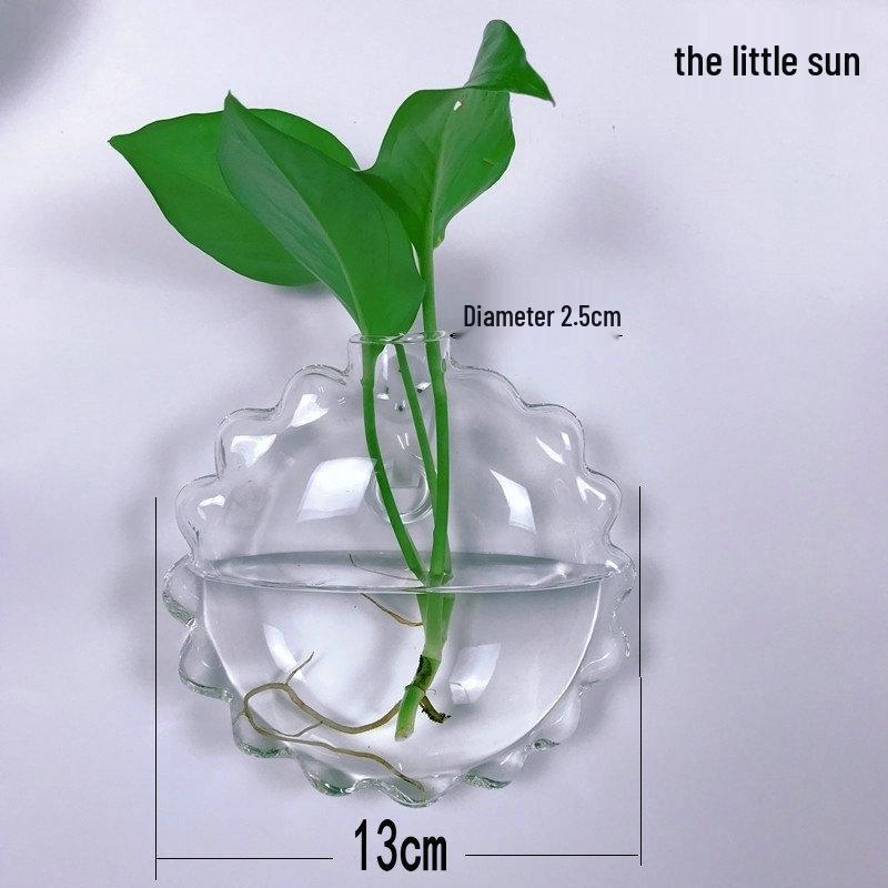 Creative Wall-Mounted Transparent Glass Vase for Plants and Fish