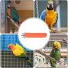 Bird Standing Stick Parrot Frosted Perch Stand For Cage Claw Sharpening Cage Perch Toy Bird Claw Sharpener 20cm