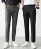 BLUEFORCE [2Pack] Belternon Side Banding Slacks