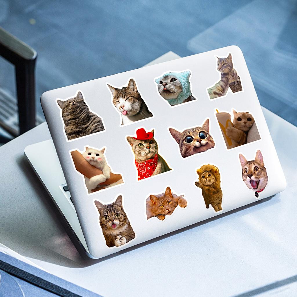 50PCS Realistic Cat Stickers, Cute Dumbfounded Expression Decals for Water Bottle, Notebook & Journal