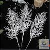10 Pack Artificial Christmas Branches Cedar Leaves for DIY Tree Decor