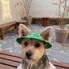 Breathable Dog Fisherman Hat Adjustable Pet Sun Cap Party Photo Dress Cat Sunscreen Hat  Kitten