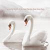 Luolai 95% Washed White Goose Down Comforter, 100TC Cotton