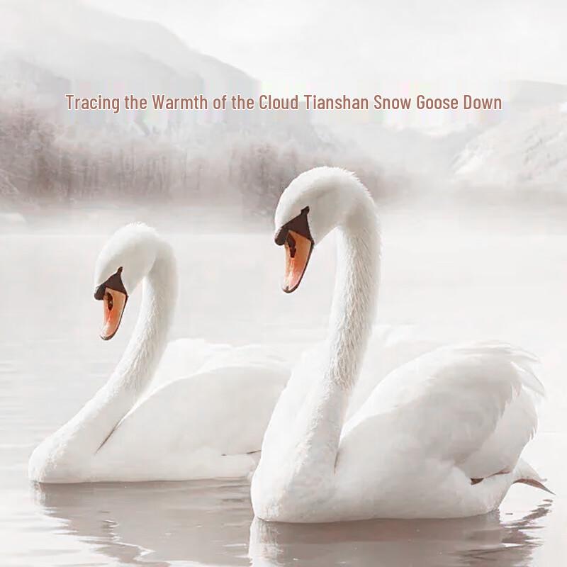 Luolai 95% Washed White Goose Down Comforter, 100TC Cotton