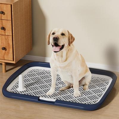 1pcs Dog Potty Training Toilet Plastic Dog Pee Pad Holder with Removable Net Reusable Dog Potty Trainer Dog Toilet Tray for Pets Up Pet Products
