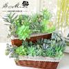 Green Flocking Artificial Succulent Plants Home Bedroom Living Room Decor Fake Plants DIY Flower Arrangement Plante Artificielle