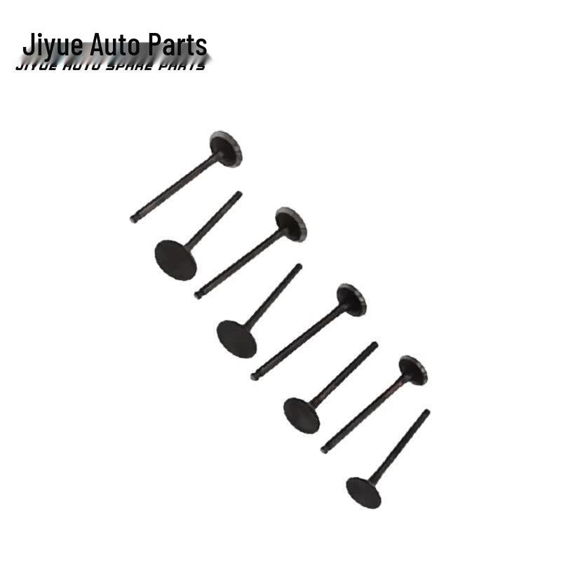 Jiyue Engine Intake and Exhaust Valves