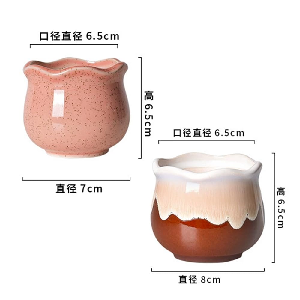 Set of 6 Succulent Cactus Bonsai Tabletop with Flower Ornamental Plant Housewarming Gift 6, Colors, Pot, 886.5cm, Small, Ceramic, Pot, Pot, Pot,