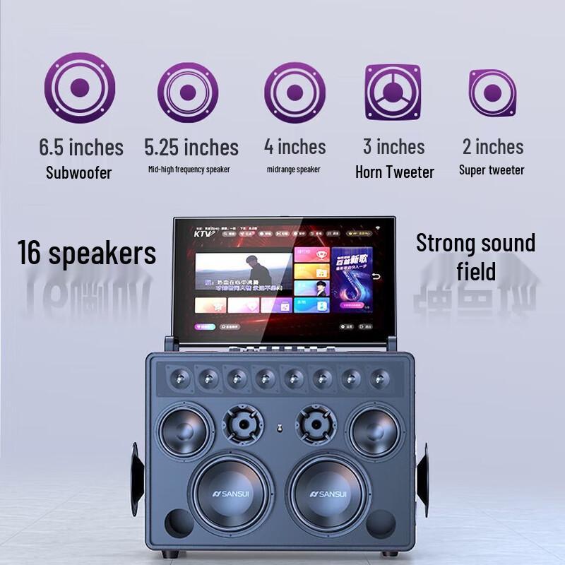 Sansui C3 Professional Portable KTV System with Display