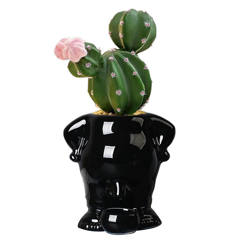 

Ceramic Peeing Potted Plant Wear Resistant Flower Planter Resuable Desktop Plant Display Pot For Bedroom Patios Desk