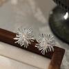 Trendy Rhinestones Metal Flower Earrings for Women Silver Personality Blooming Dandelions Shaped Stud Earrings Jewelry