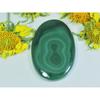 AA++ 70Cts. Natural Green Malachite Oval Cabochon Loose Gemstone 25X40X04MM D-34