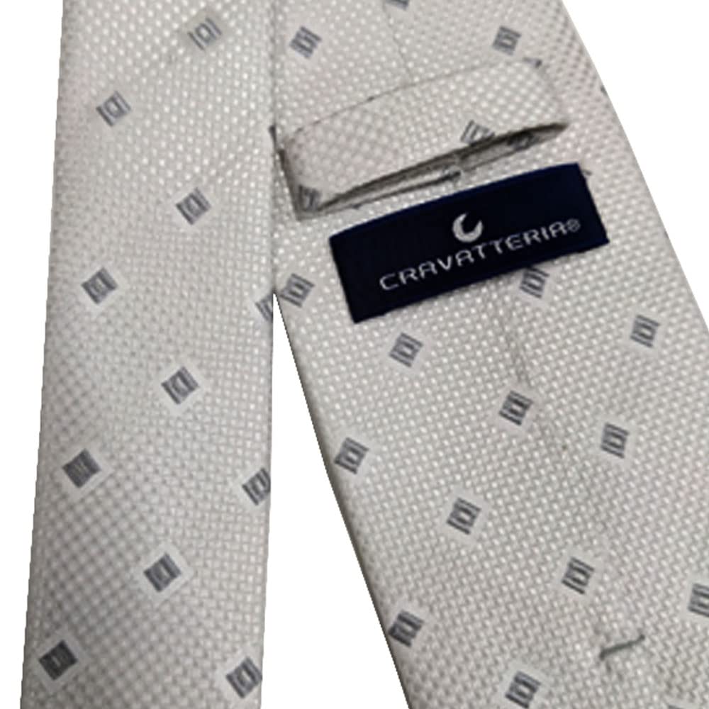 [C CRAVATTERIA] Formal Tie, Ceremonial Tie, White Silver, 100% Silk, for Weddings, Receptions, Celebrations, Parties, Ceremonies, Teflon