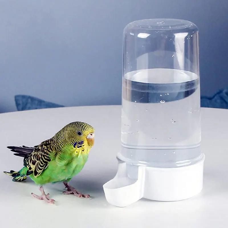 Parrot Food Feeder Bird waterer Automatic Water Feeder Parrot Feeder food box trough chicken feeder hummingbird feeder