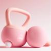 TLXT 2.5kg Unisex Kettlebell Dumbbell Pair