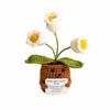 Milk Yarn Crocheted Plant Ornament Indoor with Face and Arms Compact Handmade