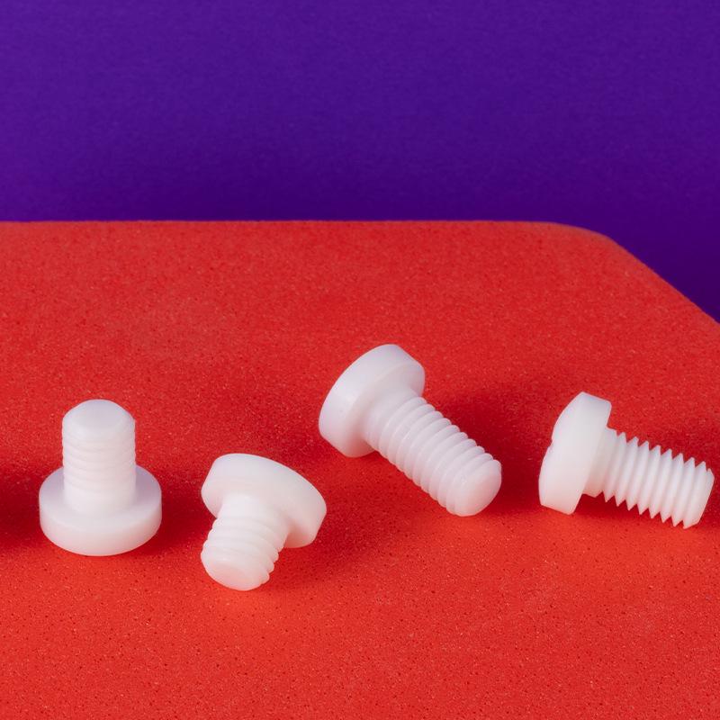 PTFE Teflon Phillips Pan Head Screw M5/M6, Acid/Base Resistant