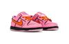 Nike SB Dunk Low The Powerpuff Girls Blossom TD FZ3352-600