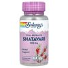 iHerb Solaray Shatavari Root Extract 500mg Veggie Capsules, 60 Count