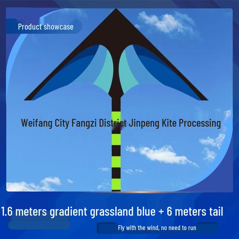 Great Plains Extra Large Rainbow Kite for Kids - Excellent Flying Cartoon Design