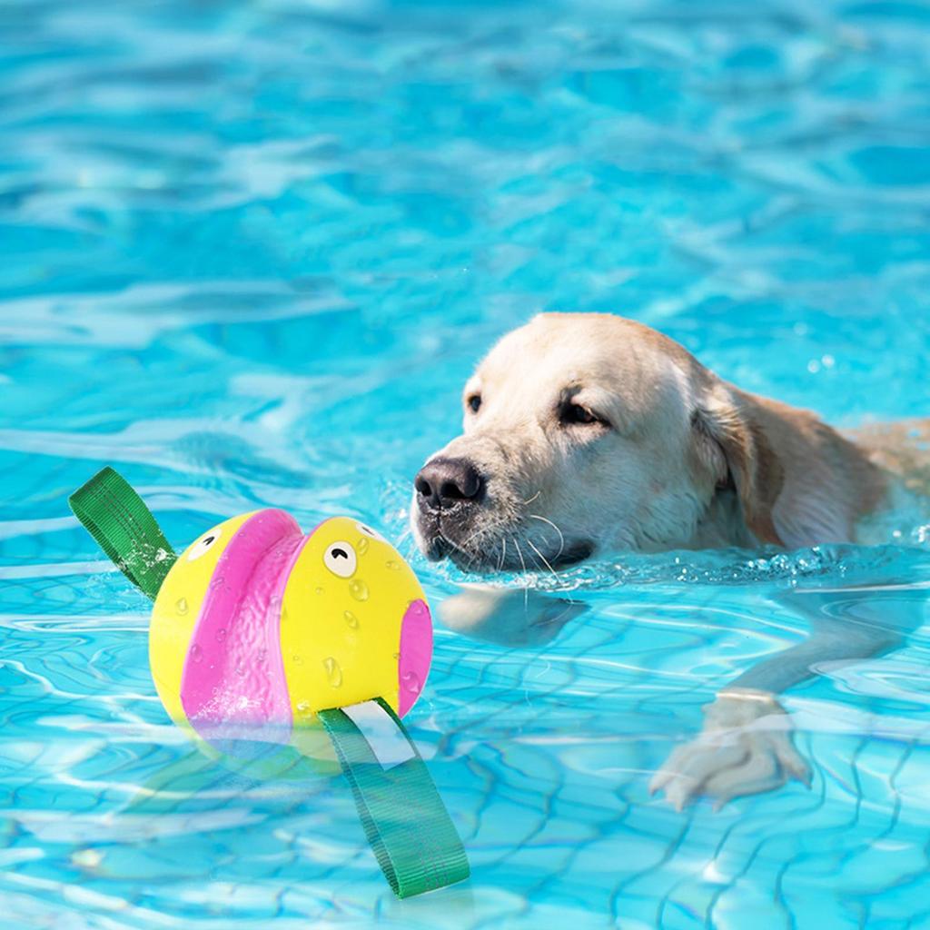 Dog Ball Interactive Teether With Handle Pet Toy Ball For Puppy Small Medium Large Breed Boredom Self-Entertainment Outdoor Park