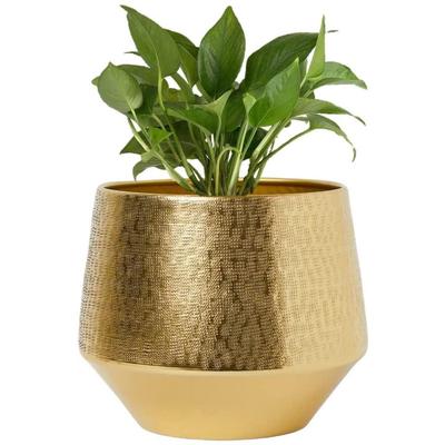 5 Inch, Ghiveci Metalic pentru Plante Eion Jr, Ghiveci Decorativ Modern de Interior, Ghivece pentru Flori, Ghiveci pentru Decor Acasă și Grădină