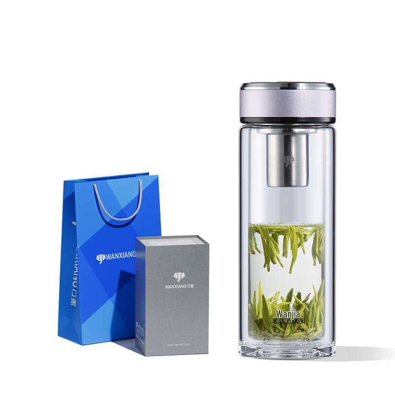 Double-Layer Glass Travel Tea Infuser Bottle