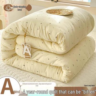 Washable Cotton Quilt: All-Season Thick & Warm Quilt for Students - New Spring 2025 Edition