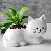DIY Kitten Form Gypsum Flowerpot Silicone Mold Storage Box Cup Wax Molds Cartoon Cat Desktop Decoration Crafts Making Mould