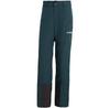 Брюки Adidas Terrex Multi 2 Layer CLIMAPROOF Isolierte Hose Aurora Ivy (KA9868) Разноцветный