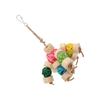 Parrot Chewing Toy Colorful Safe Relieve Anxiety Hanging Parrot Sepak Takraw Toy for Birds Parrots