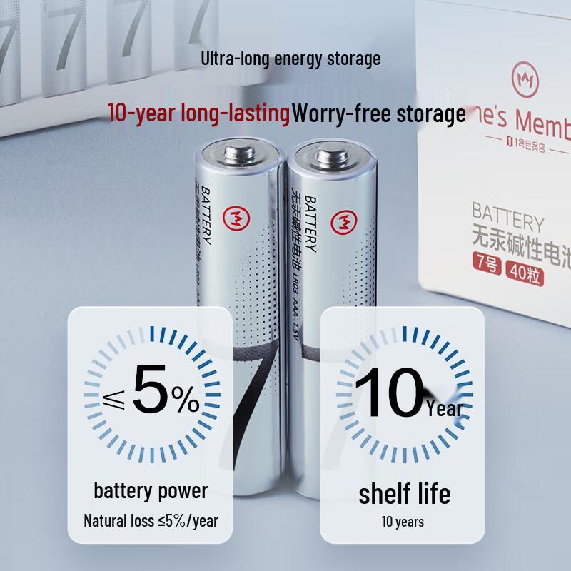 No. 1 Member Shop High-Performance Alkaline Batteries CN plug (adapter included)