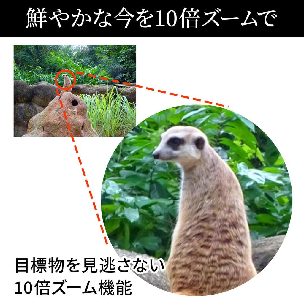 Loveril Binoculars, 10x Magnification, Perfect for Outdoor Travel, Sports, and Concerts, Compact and Ultra-Lightweight, with Pouch, Wiping Cloth, and