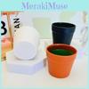 Classic Plastic Flower Pot With Foam Insert For Indoor Garden Decor