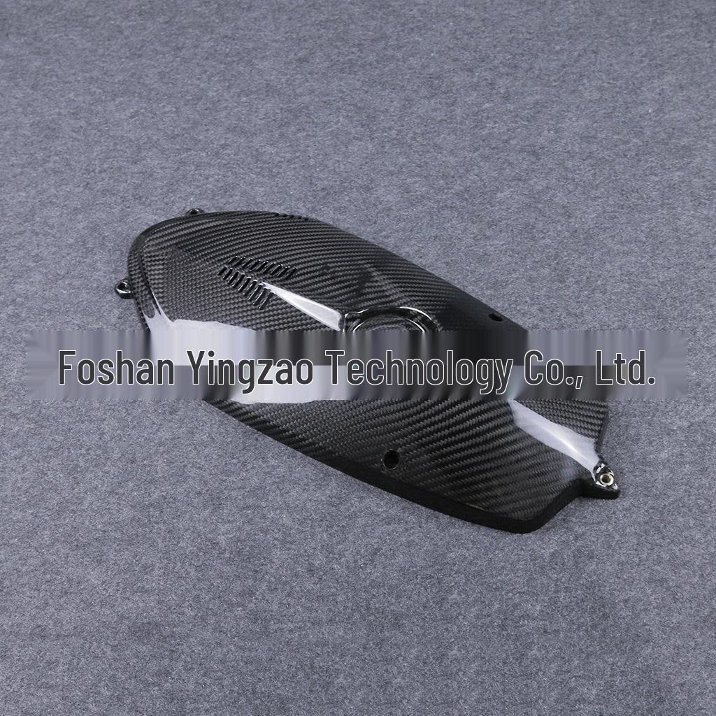 BMW R Nine T (2015-2016) Carbon Fiber Engine & Water Cooler Cover