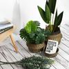 Seagrass Belly Basket with Handles Multipurpose Wicker Storage Basket Laundry Garden Decorative Storage Organizer