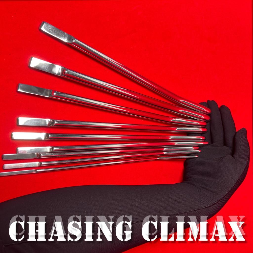 Penis Plug BDSM Sex Toys for Men Urethral Sounds Stimulator Inserting Into Urethra Dilator Sounding Catheter Rod Penis Massager