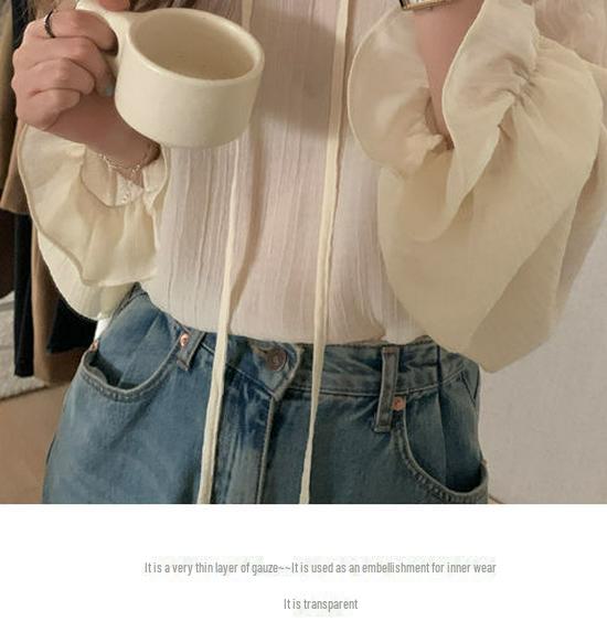 Women's Chiffon Loose-Fit Shirt, Korean Style - 2023 Spring/Autumn Collection