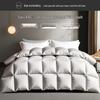 YuanShengHuo Cloud Top Luxury 95% Goose Down Comforter