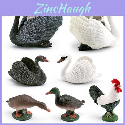 Bird Model Collection Featuring Greenheaded Duck And Gray Duck For Home Decor And Educational Use