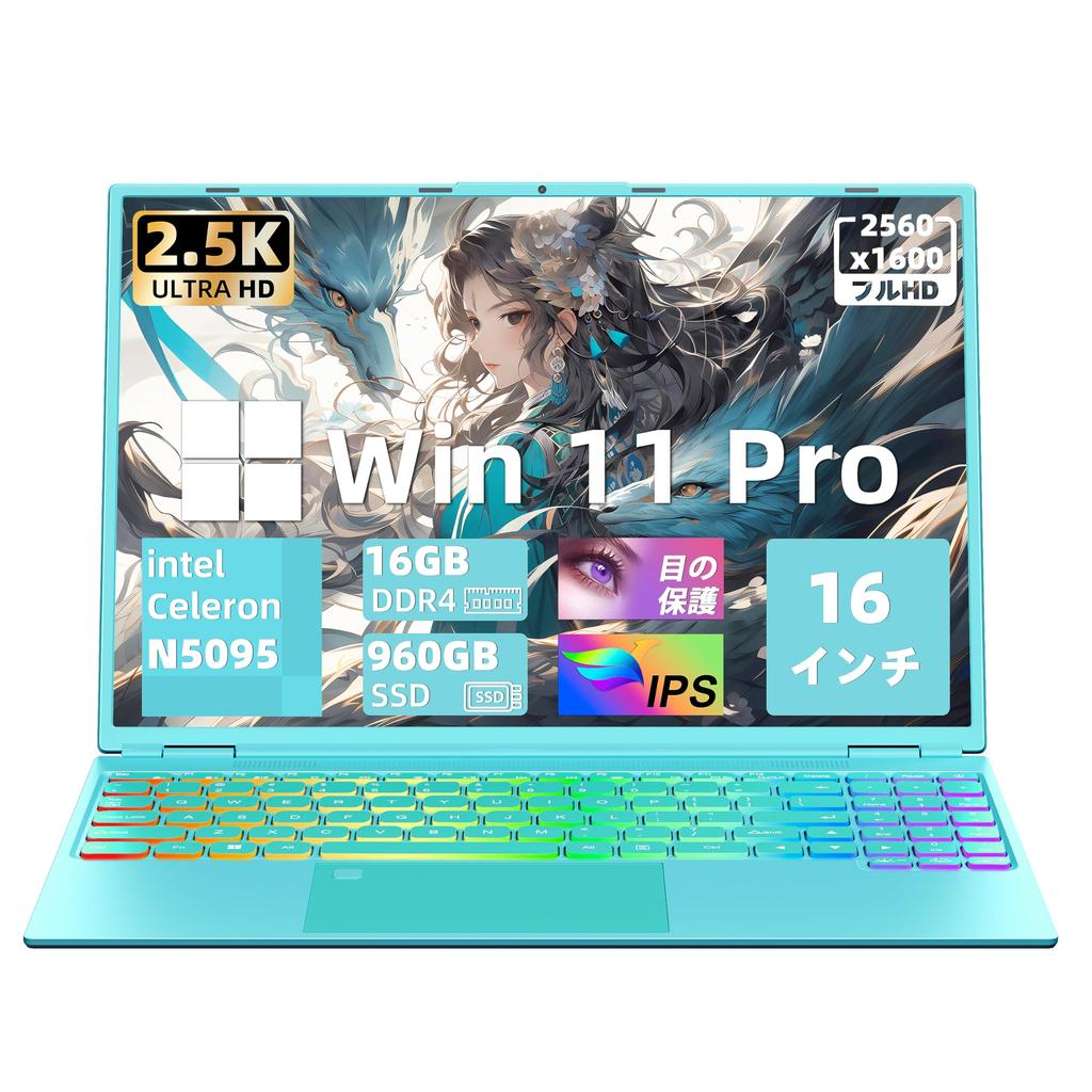 Large Screen Laptop 11 Installed MS Office 2019 PC Notebook Intel Celeron N5095 CPU To LCD IPS Resolution Memory DDR4 16GB SSD 960GB Fingerprint
