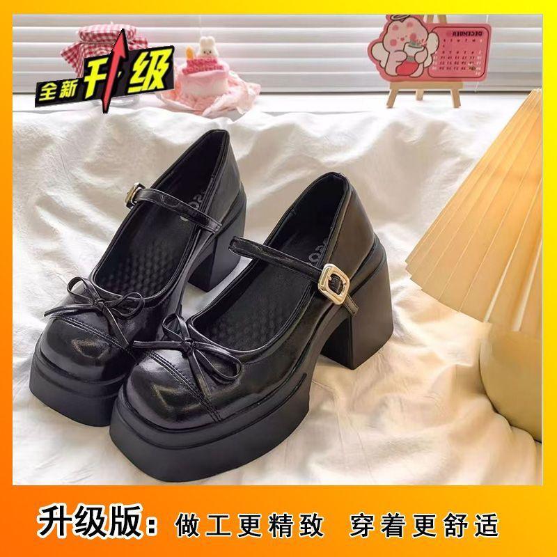 Korean version of Internet celebrity small leather shoes women's spring and autumn with skirt thick heel single shoes temperament Mary Jane shoes