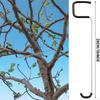 Fruit Tree Branch Spreaders Branches Puller Metal, Accessories, Open Angle, Professional Trees