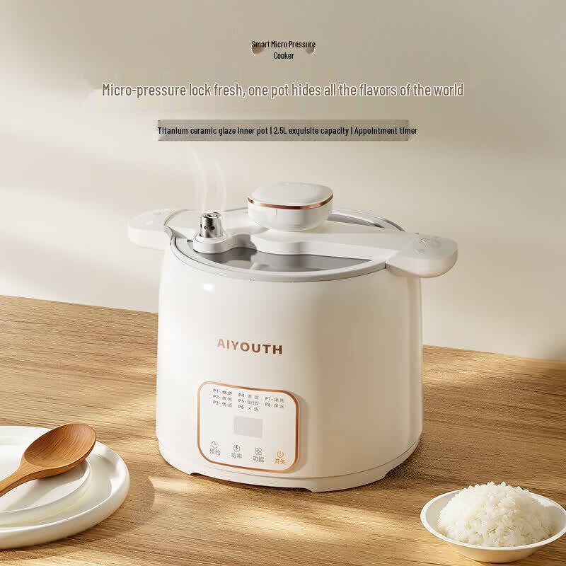 AIYOUTH Multifunction Micro-pressure Electric Cooker