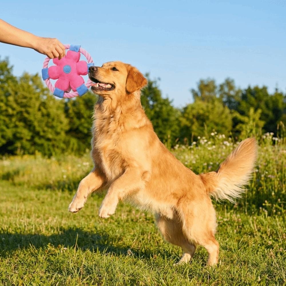Squeaky Dog Flying Disc Bite-Resistant Rope Dog Toy Teeth Grinding Dog Chew Toy  Exercise