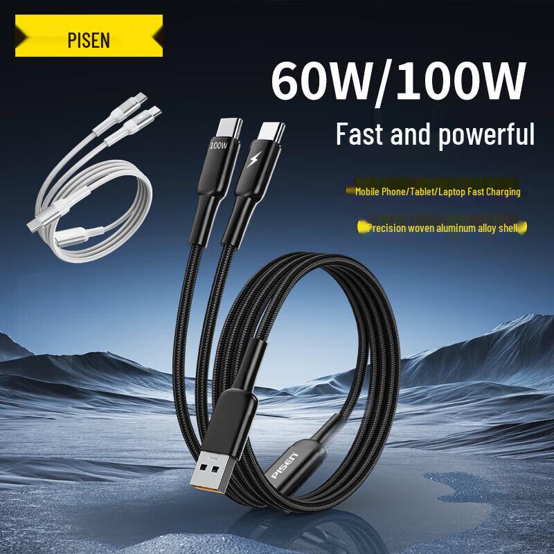 Pisen USB To Dual Type-C Fast Charging Cable 100W 1.2m