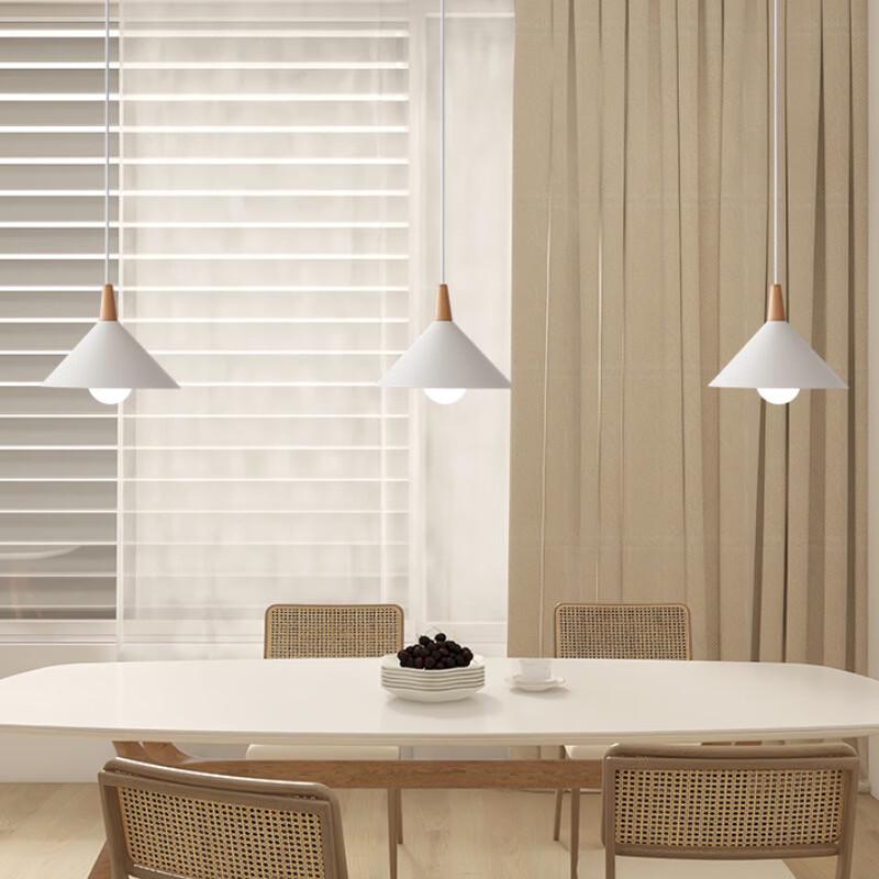 OEING Single Head Pendant Light